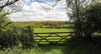 green and beautiful Hertfordshire countryside