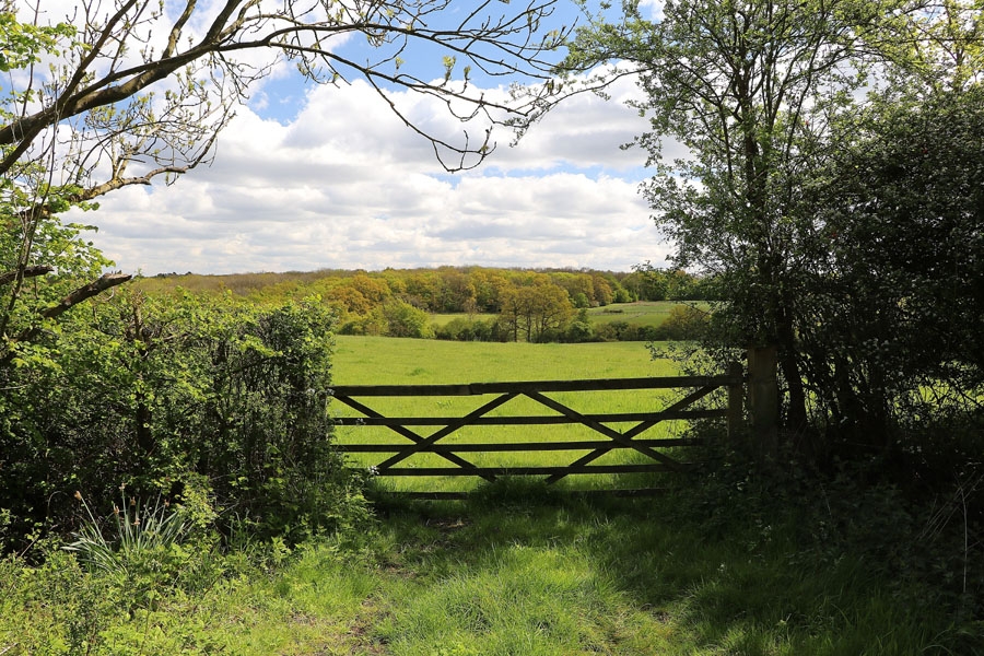 green and beautiful Hertfordshire countryside