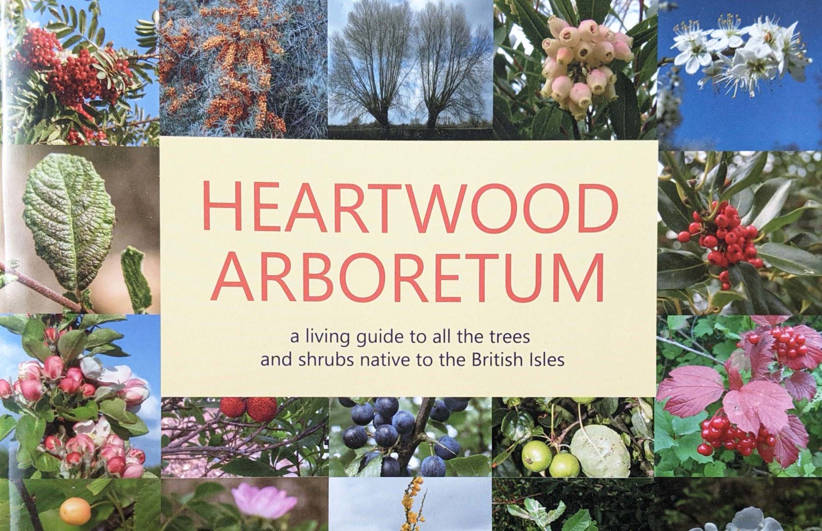 image of book cover Heartwood Arboretum with colourful photos of several tree species