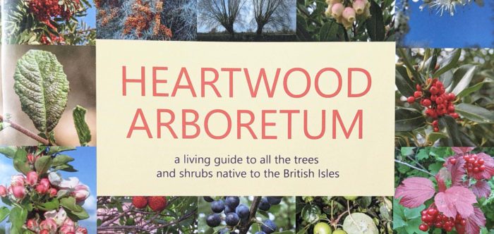 image of book cover Heartwood Arboretum with colourful photos of several tree species