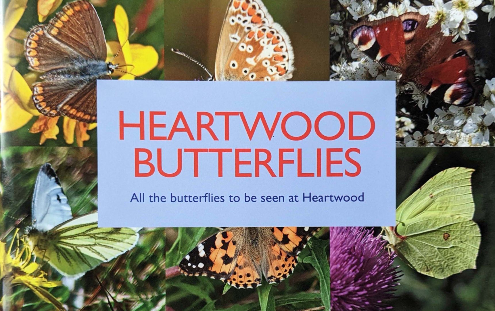 image of book cover with title Heartwood Butterflies and colourful images of several butterflies