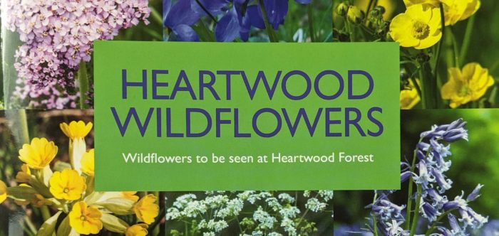 image of book cover Heartwood Wildflowers with photos of six different colourful wildflower species