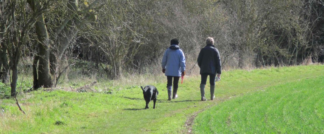 a local green space: a green field with two women having a conversation and walking a dog