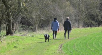 a local green space: a green field with two women having a conversation and walking a dog