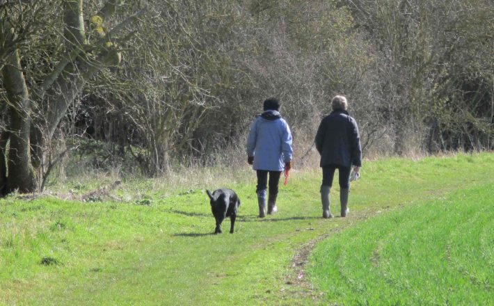 a local green space: a green field with two women having a conversation and walking a dog