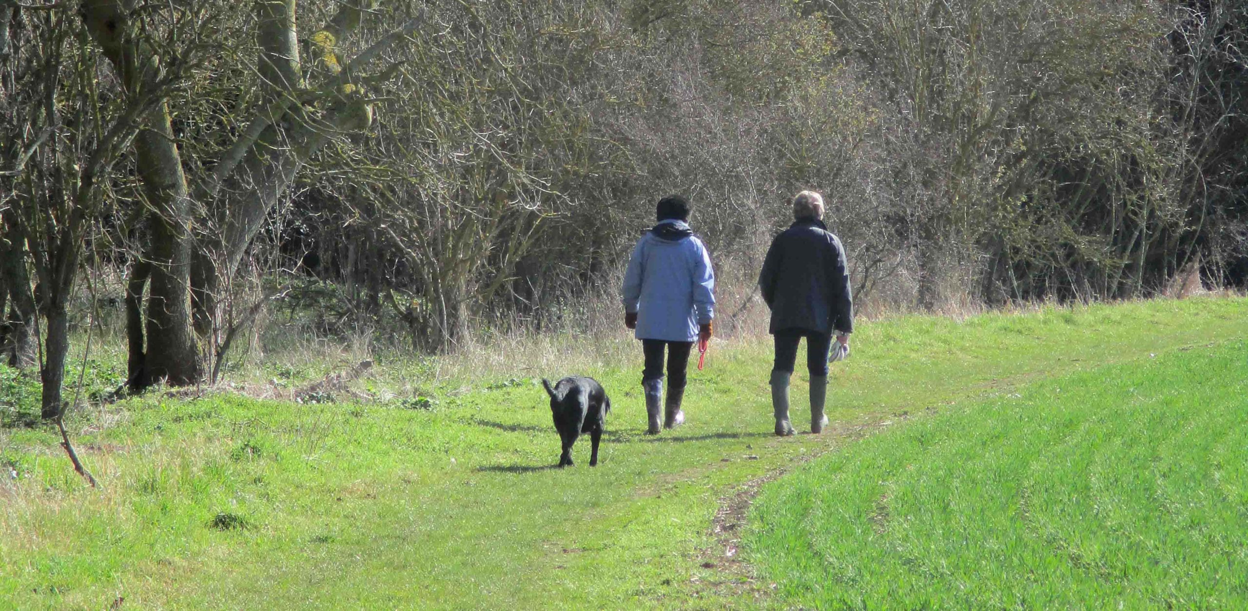 a local green space: a green field with two women having a conversation and walking a dog