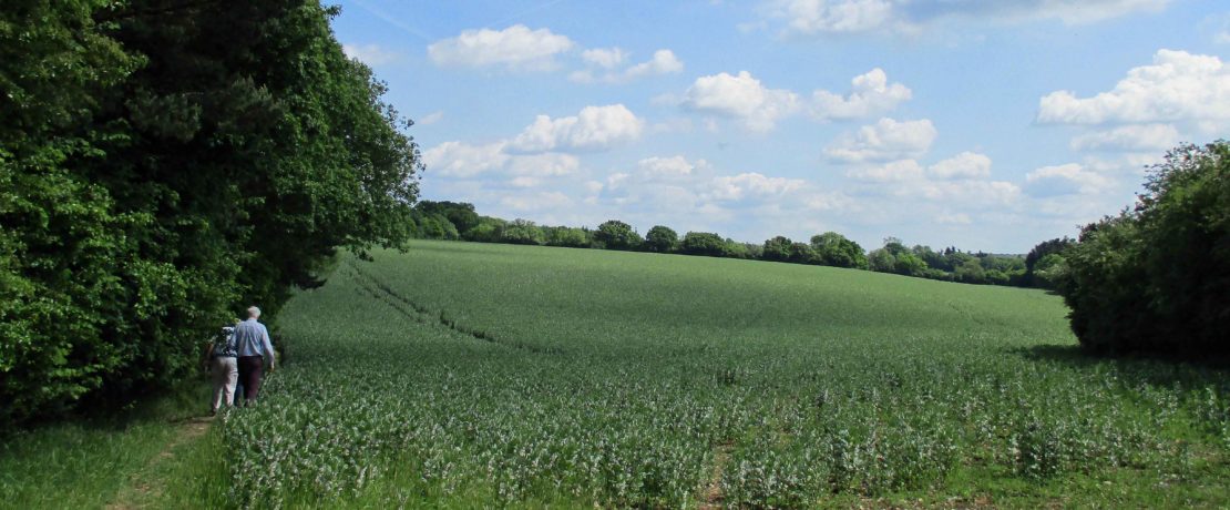 Lush green landscape with two people walking on path in one of the areas under consideration in the AONB Boundary Review