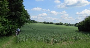 Lush green landscape with two people walking on path in one of the areas under consideration in the AONB Boundary Review