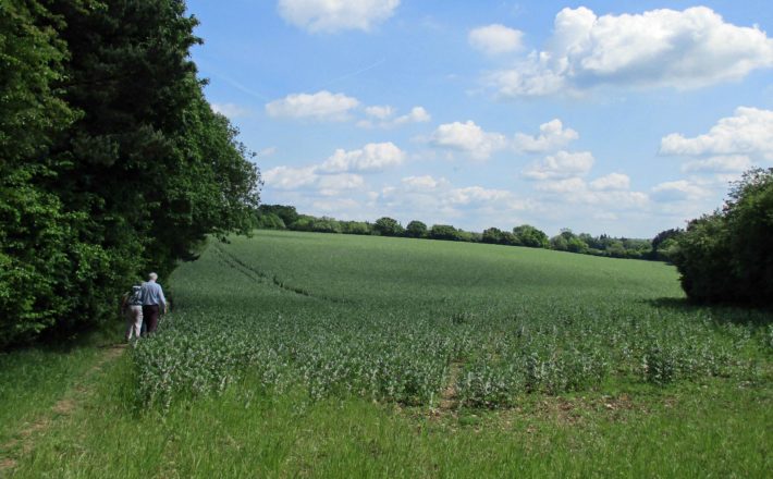 Lush green landscape with two people walking on path in one of the areas under consideration in the AONB Boundary Review
