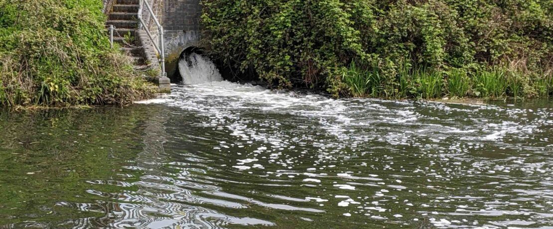 foamy water flowing out of a pipe from sewage treatment works into a canal