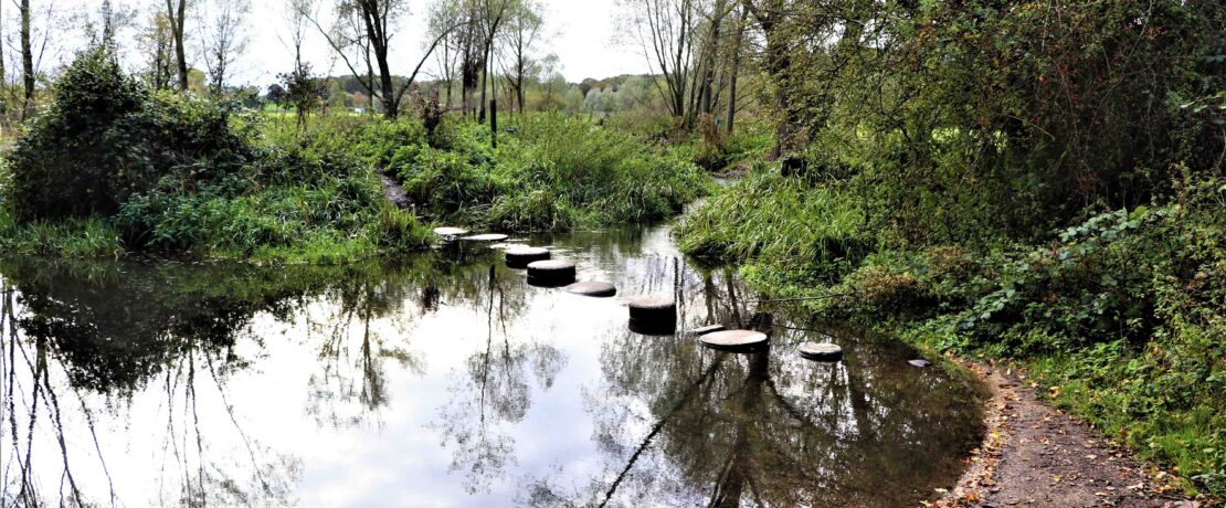 meandering chalk stream with stepping stones across, with lush green riverbanks either side