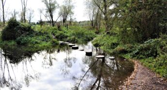 meandering chalk stream with stepping stones across, with lush green riverbanks either side