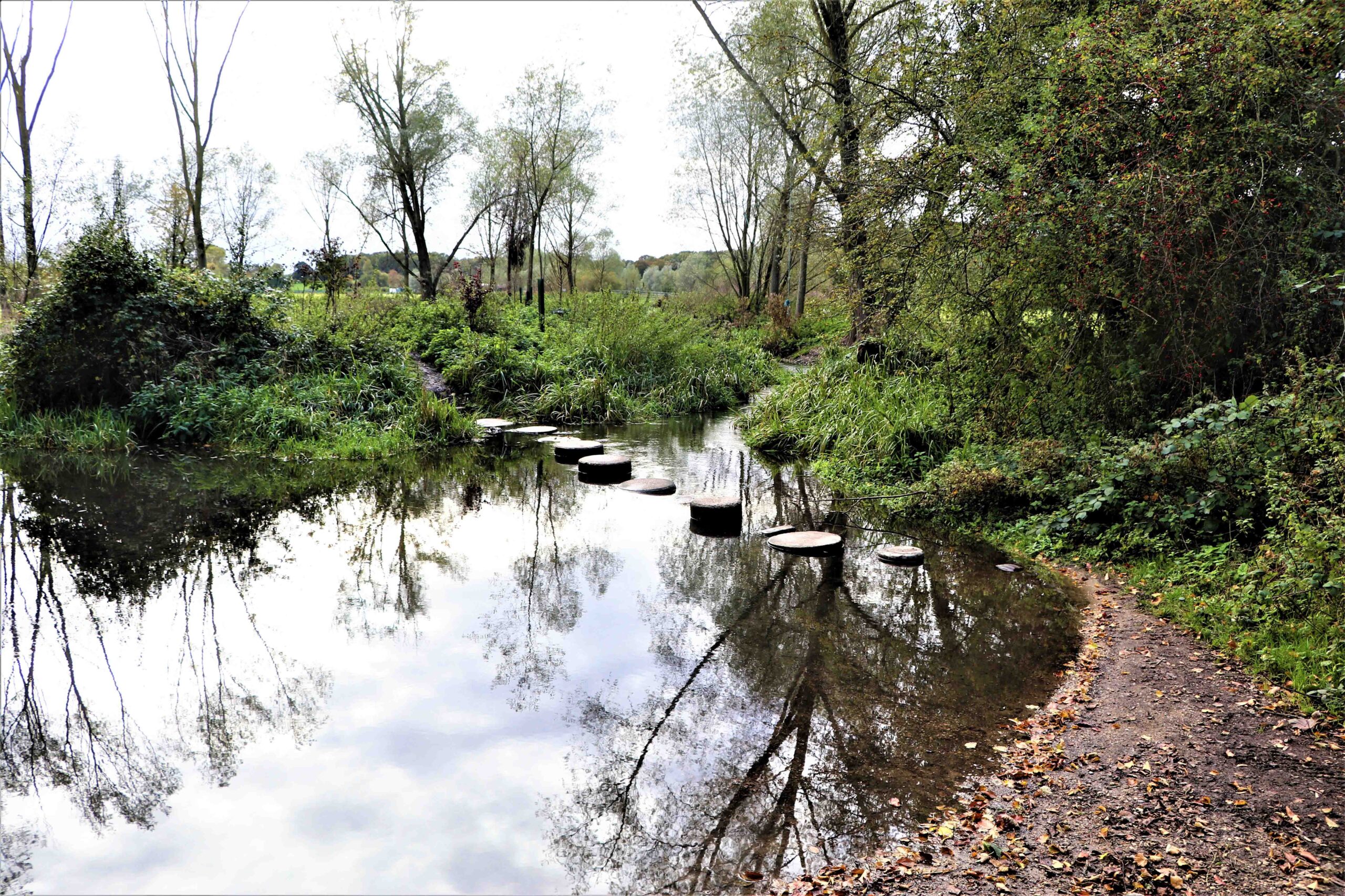 meandering chalk stream with stepping stones across, with lush green riverbanks either side