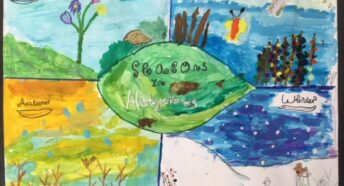 children's art, a vibrant and colourful image showing four seasons of a hedgerow