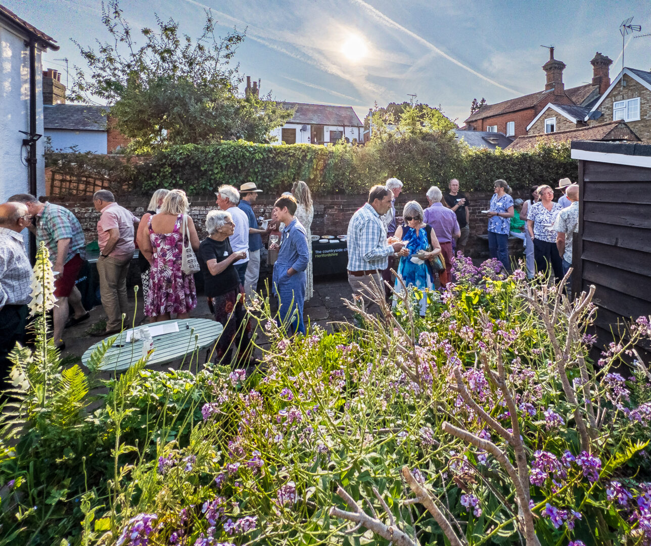 a group of people enjoying a garden party on a sunny summer evening