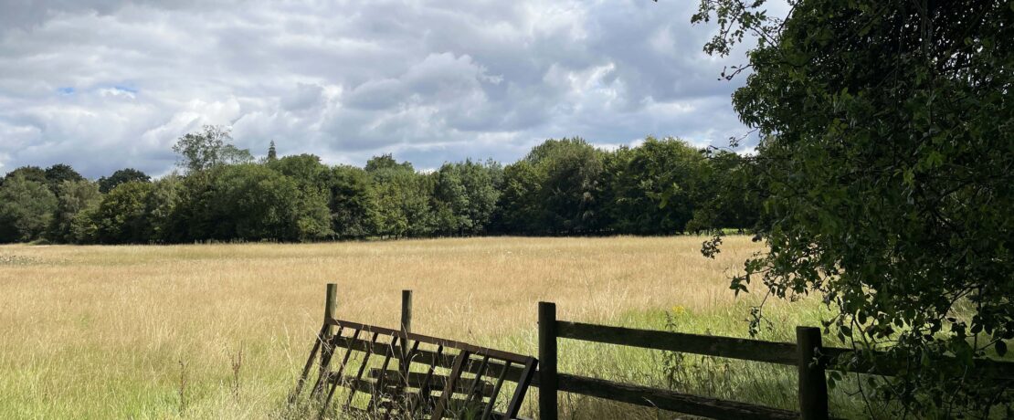 lovely open countryside fringed with trees