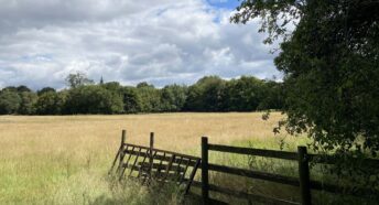 lovely open countryside fringed with trees