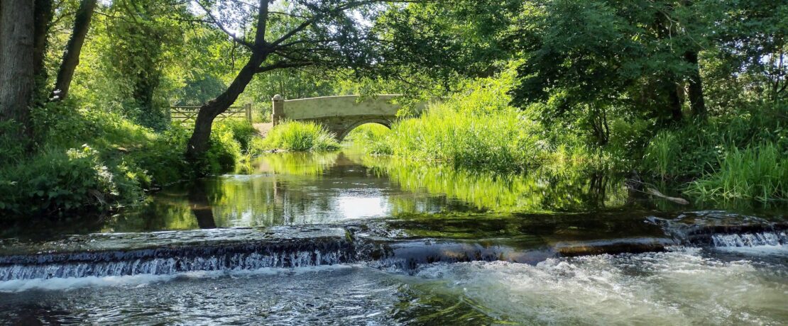 beautiful and tranquil scene on a river with lush green vegetation along the riverbanks