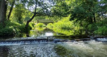 beautiful and tranquil scene on a river with lush green vegetation along the riverbanks