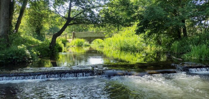 beautiful and tranquil scene on a river with lush green vegetation along the riverbanks