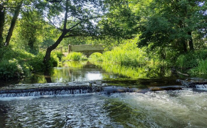 beautiful and tranquil scene on a river with lush green vegetation along the riverbanks