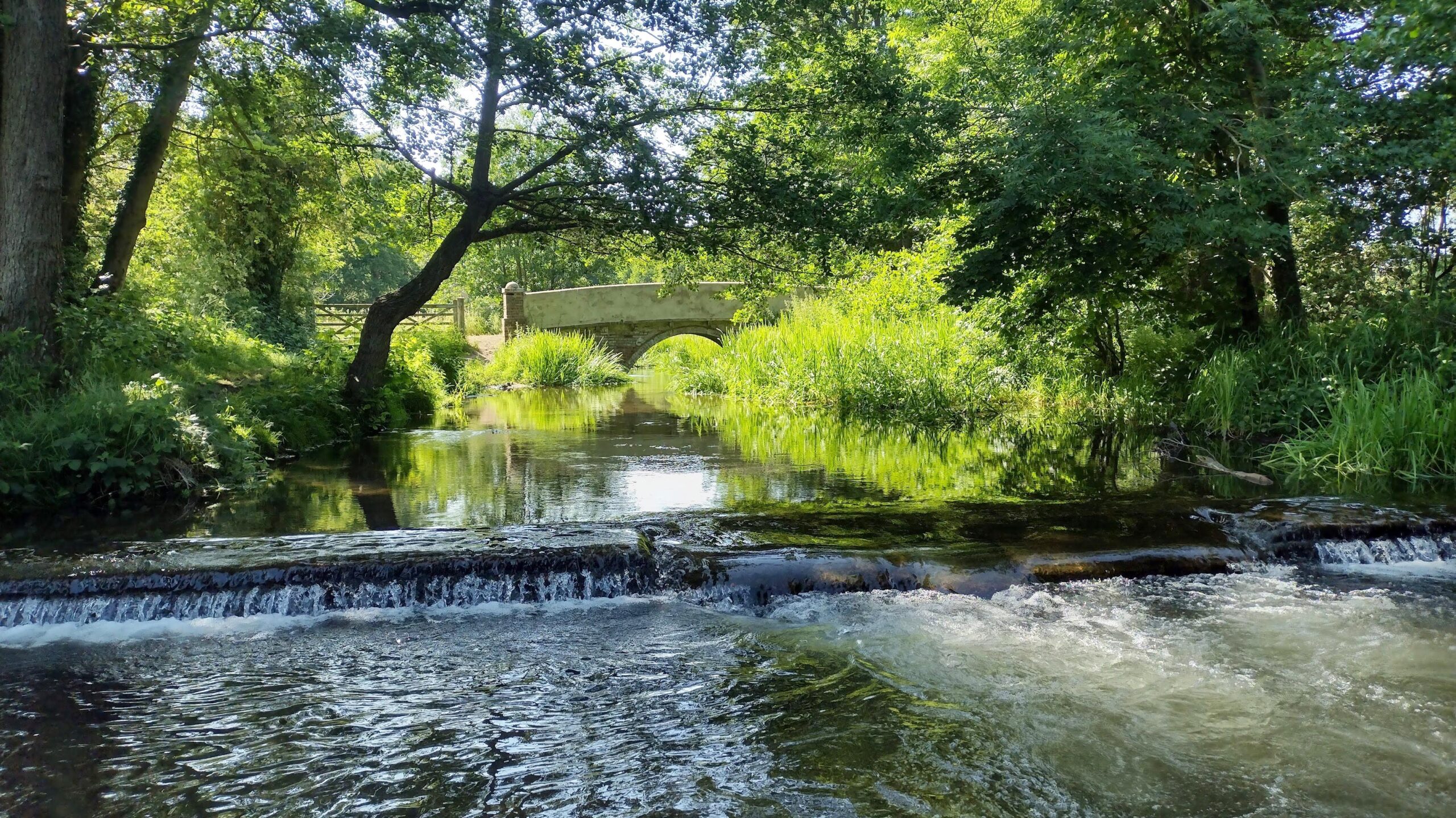 beautiful and tranquil scene on a river with lush green vegetation along the riverbanks