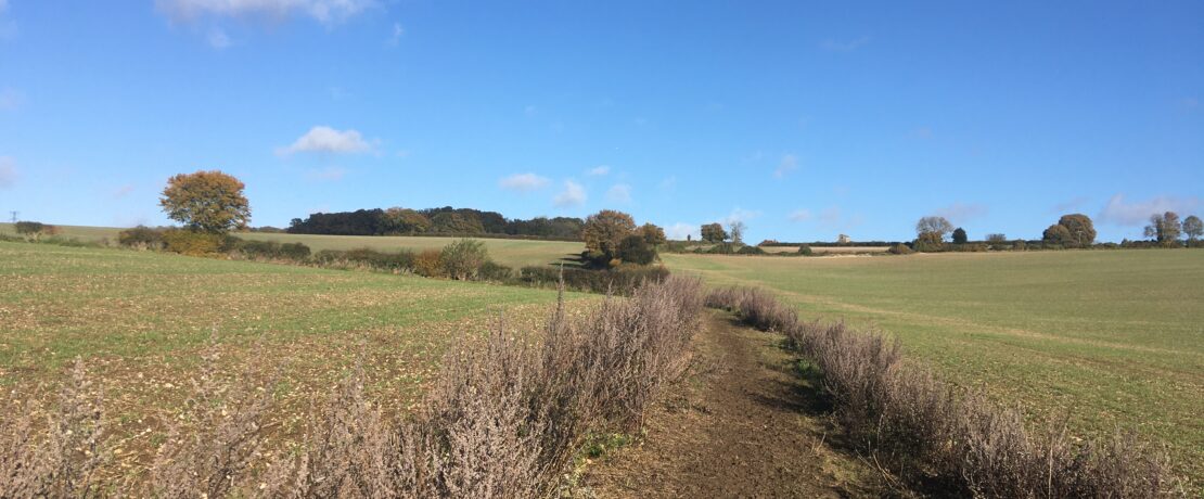 footpath leading up a hill through a field to a wood