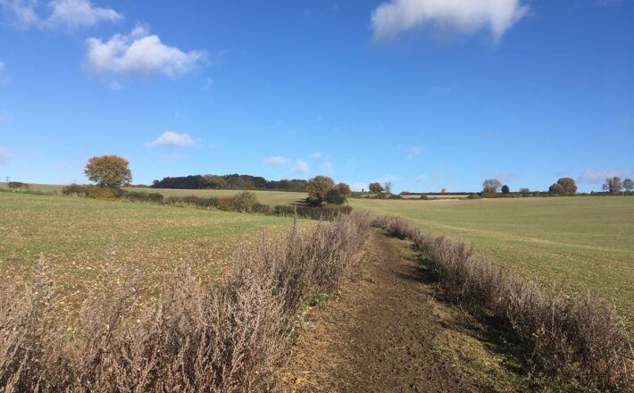 footpath leading up a hill through a field to a wood