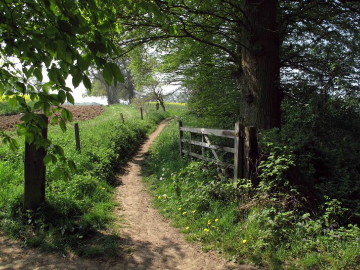 footpath leading through a woodland and out into open countryside