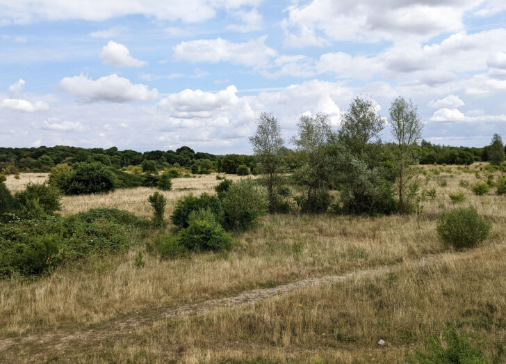 nice view of grasslands and scattered trees in wide open countryside at Ellenbrook