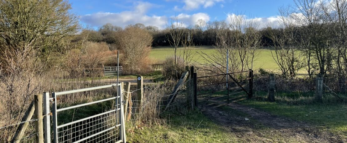 A footpath leading through a farm gate with grassy fields and woodland beyond