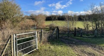 A footpath leading through a farm gate with grassy fields and woodland beyond