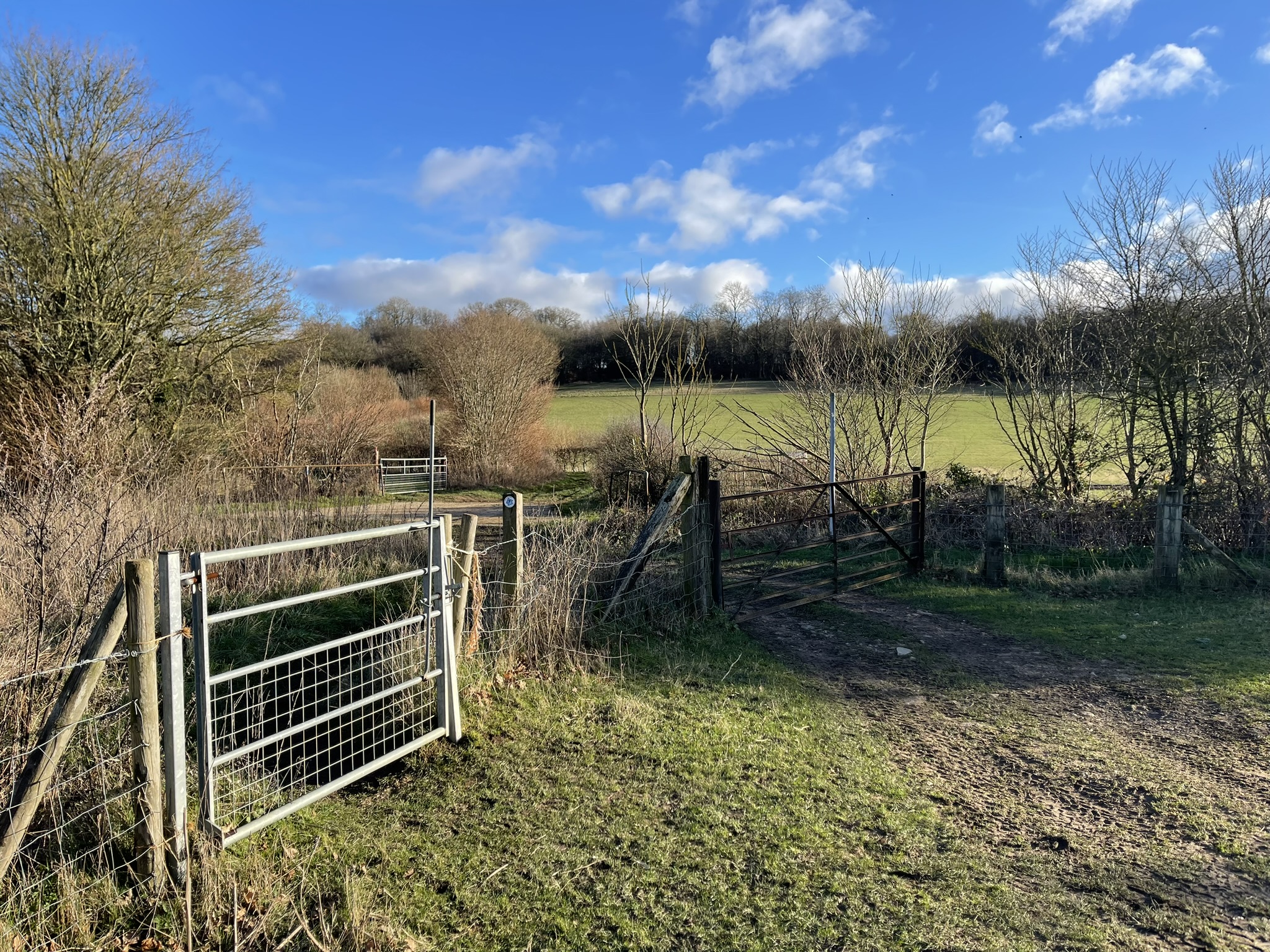 A footpath leading through a farm gate with grassy fields and woodland beyond