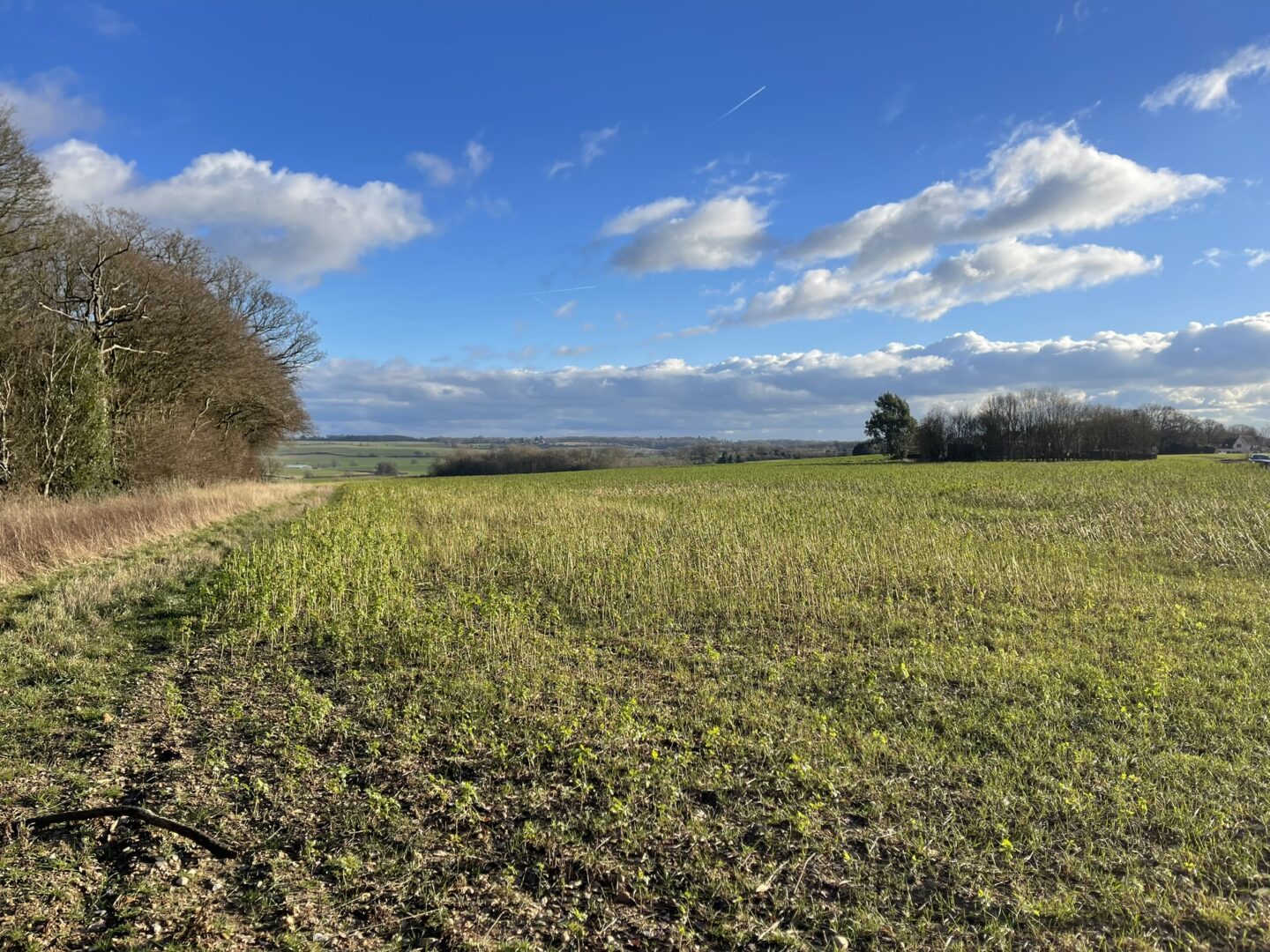 Gorgeous view over unspoilt countryside, green fields and woodlands under a sunny sky