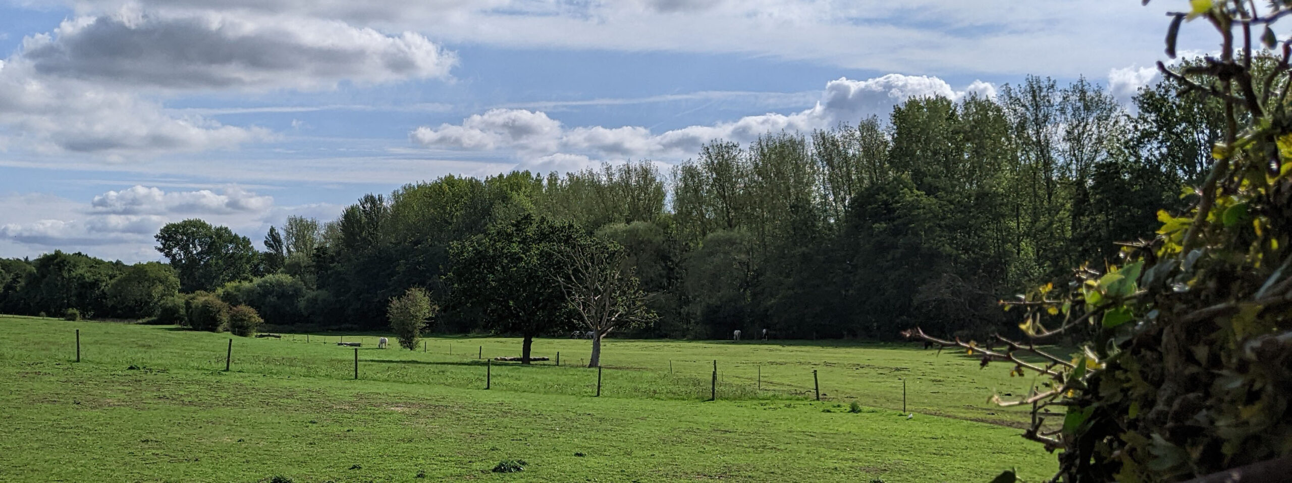 Good news! Appeal dismissal in Green Belt at Tollgate Road, Colney