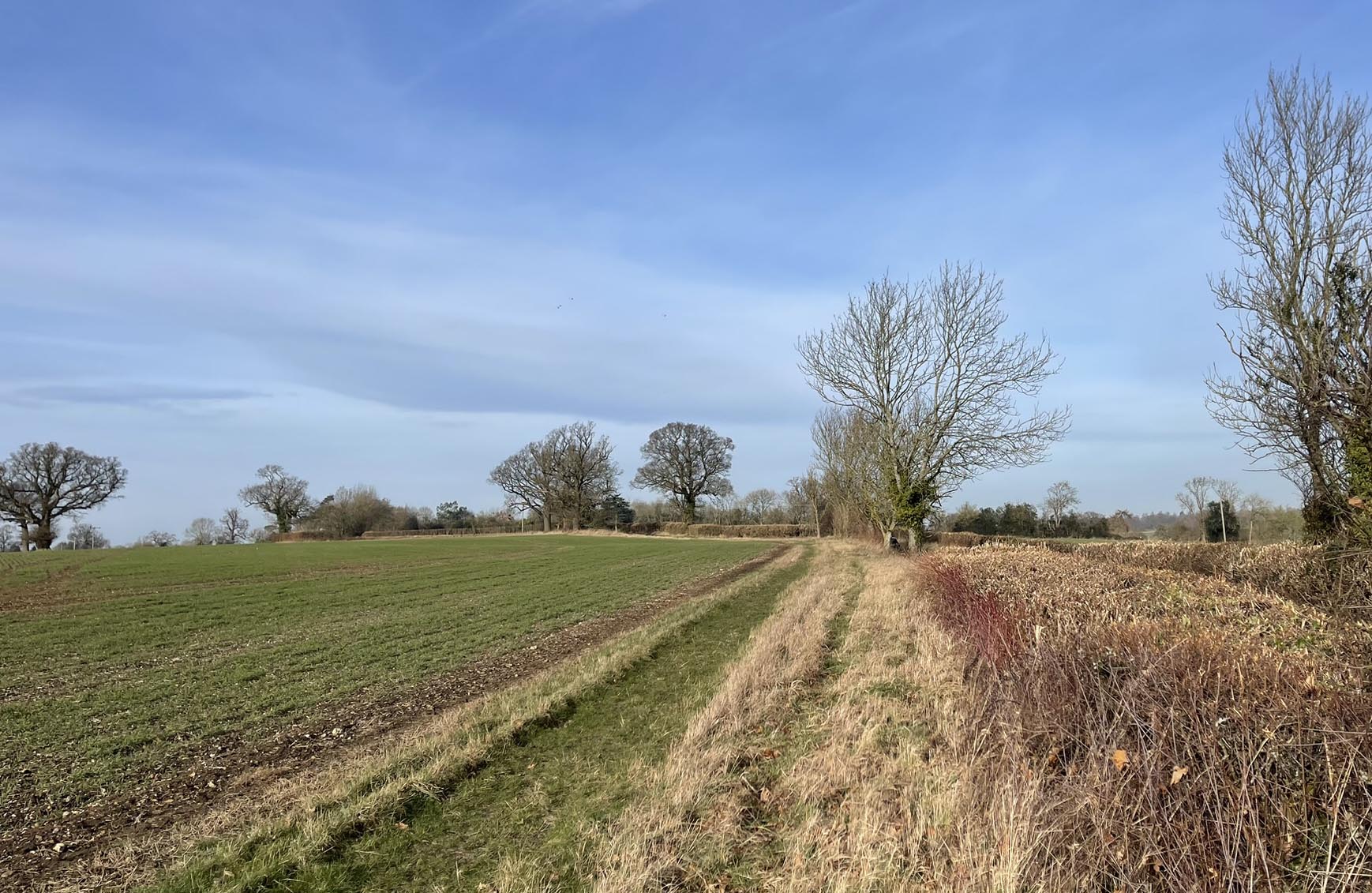 beautiful open countryside, green fields, blue sky