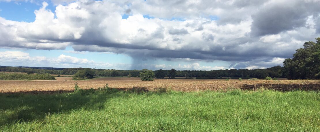 beautiful green fields, cropland and woodland with storm clouds overhead