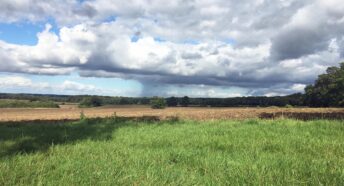 beautiful green fields, cropland and woodland with storm clouds overhead