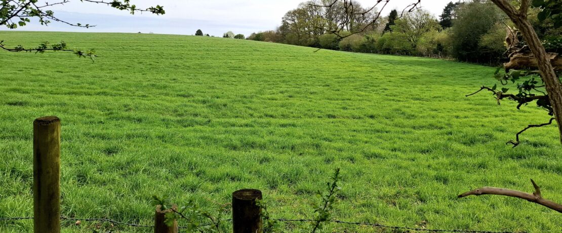 site in the Chilterns National Landscape with beautiful undulating green fields and trees along the margin