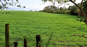 site in the Chilterns National Landscape with beautiful undulating green fields and trees along the margin