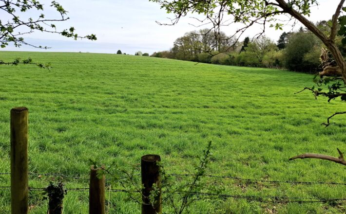 site in the Chilterns National Landscape with beautiful undulating green fields and trees along the margin