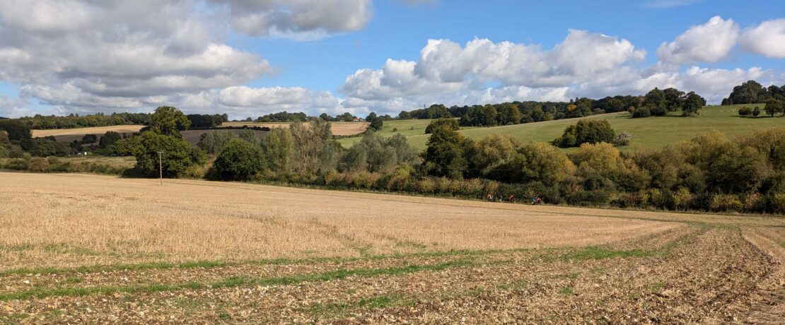 attractive landscape with agricultural field, hedgerows and hills beyond