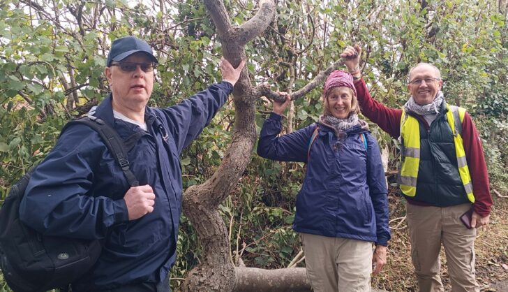 airport expansion: walkers posing at a distinctive tree along a footpath