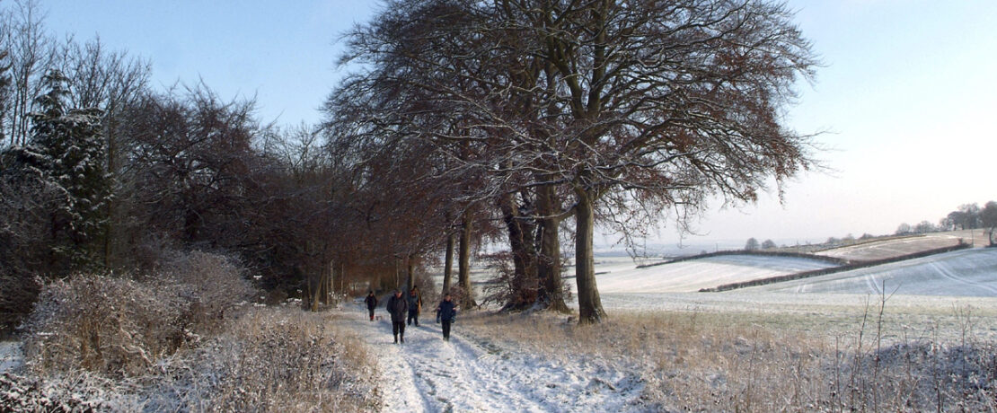 group of walkers on snowy footpath