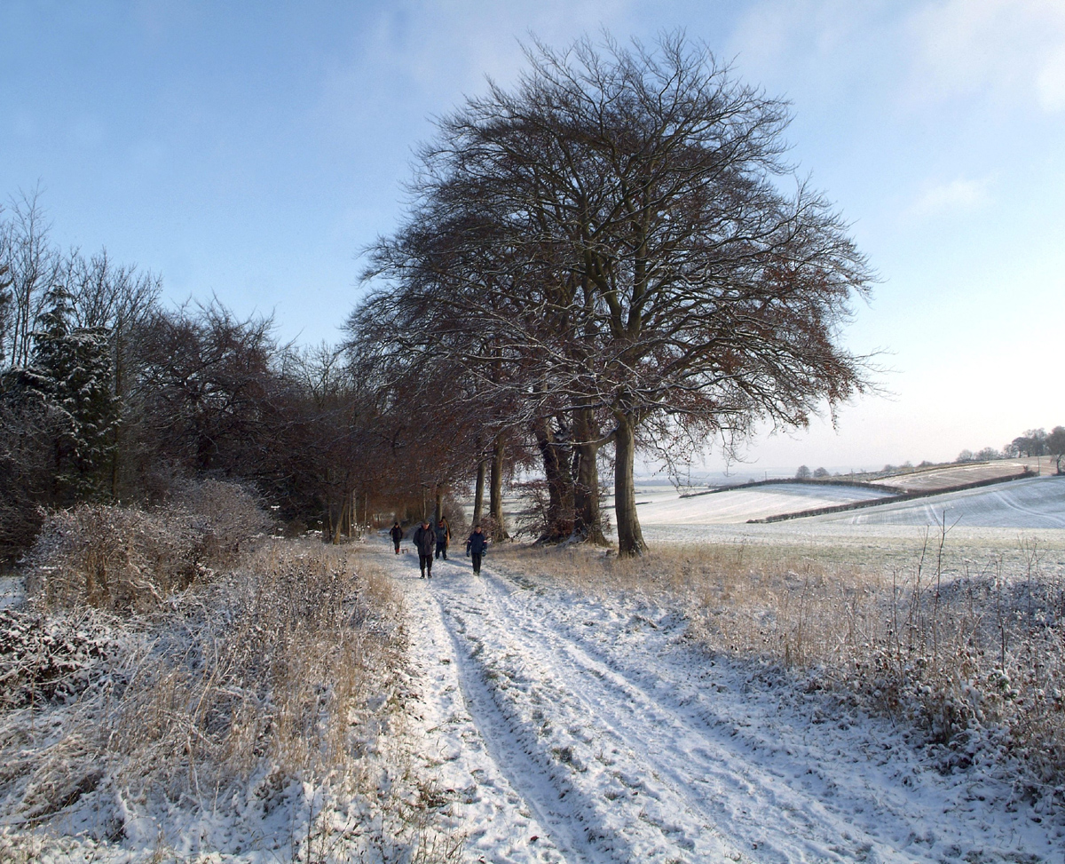 group of walkers on snowy footpath