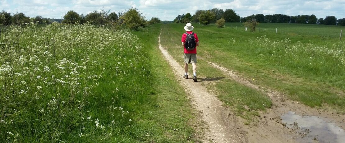 attractive green landscape with man walking along footpath