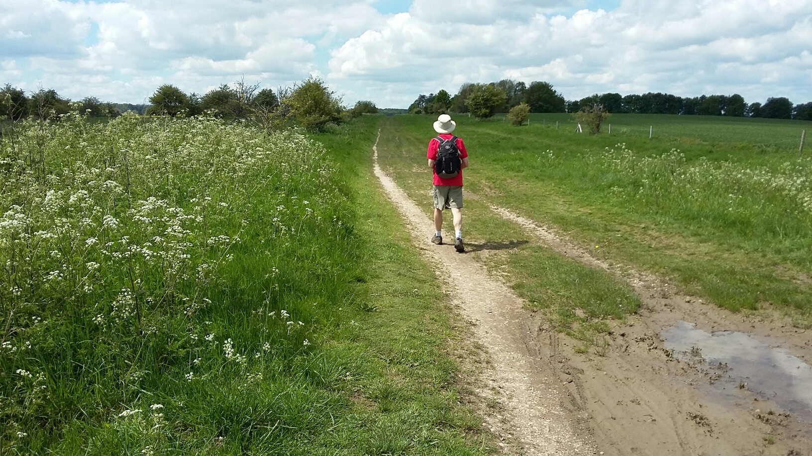 attractive green landscape with man walking along footpath
