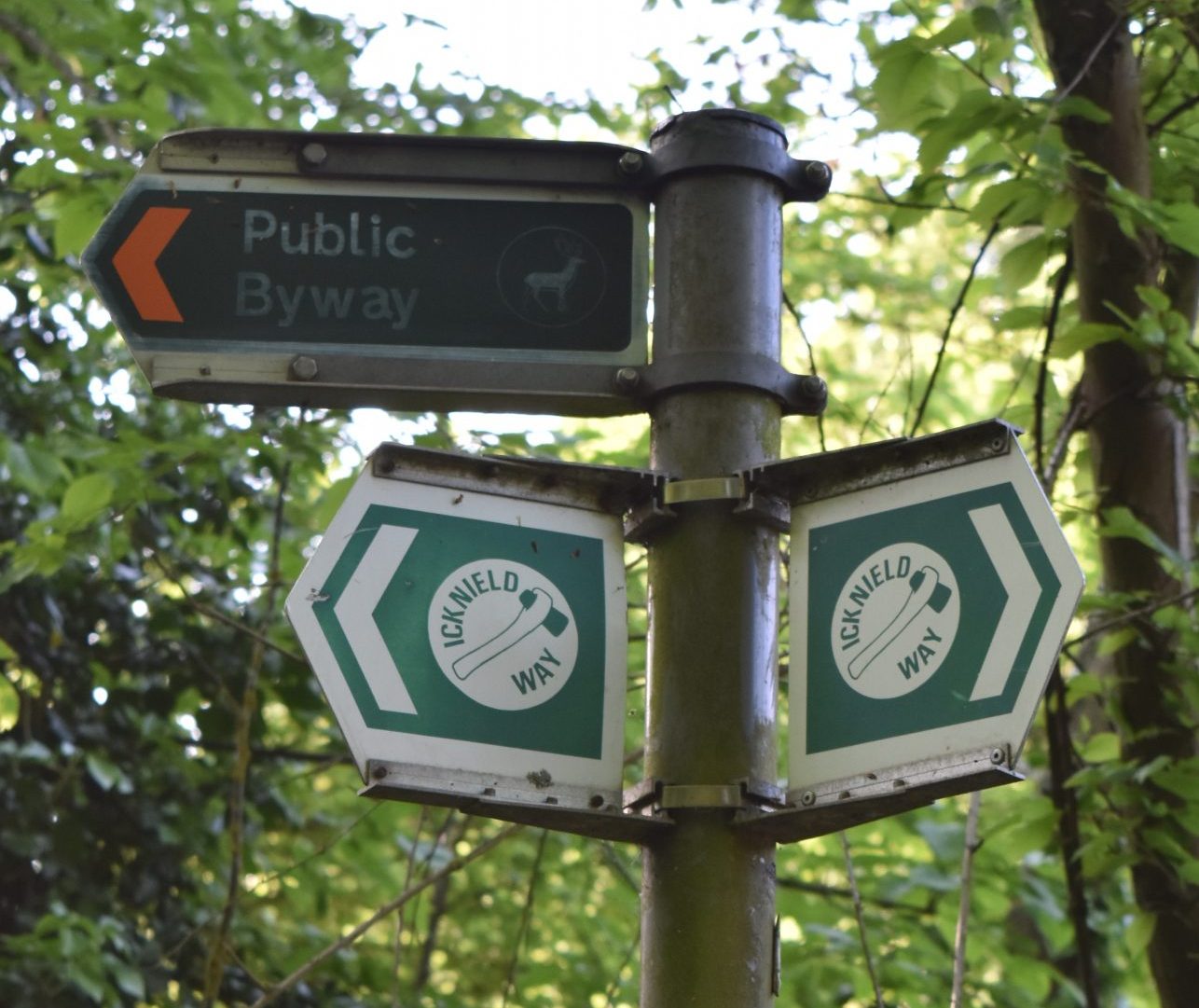 icknield way signpost
