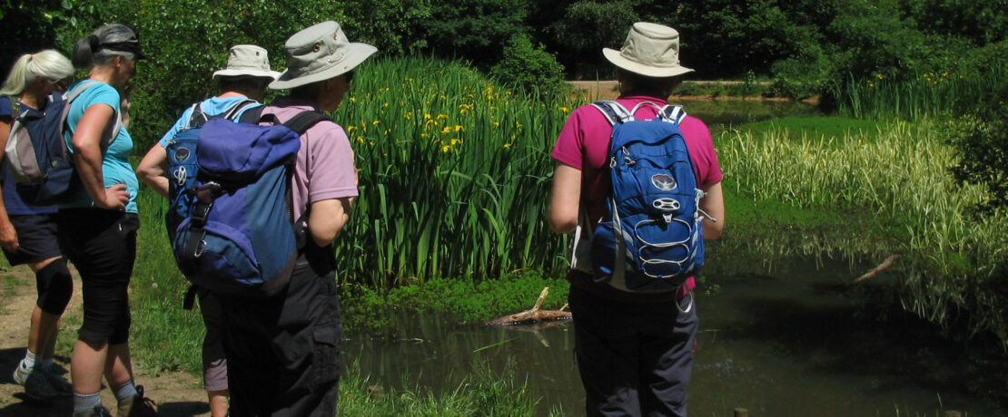 group of walkers at the edge of a pond