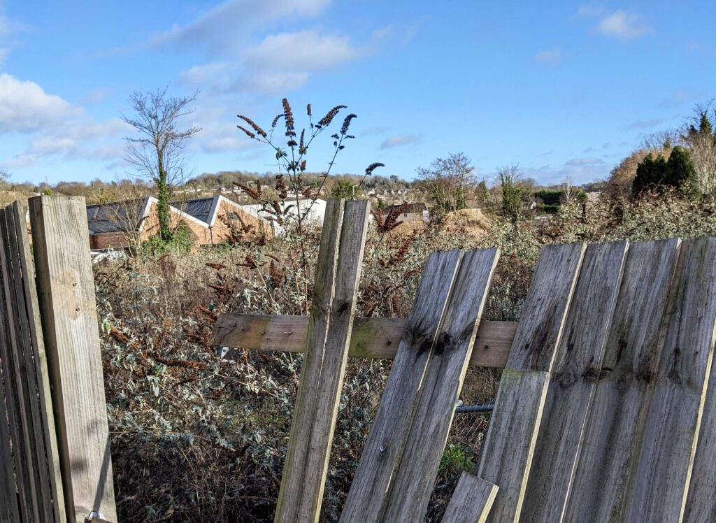 an overgrown derelict site